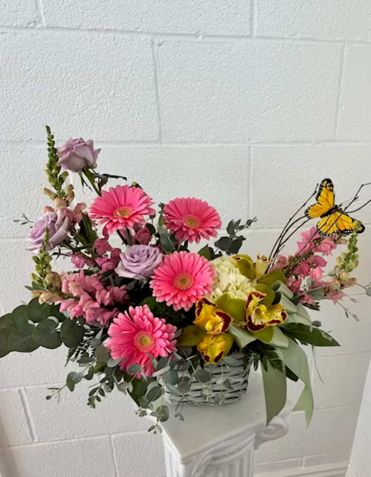 Flutter and Bloom