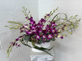 Orchid Day Dream